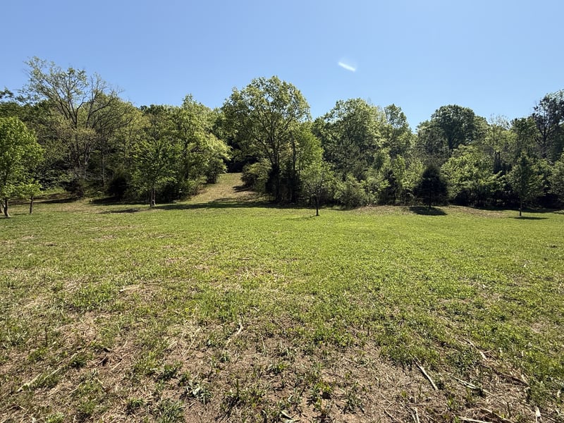 Rogues Fork Rd, Bethpage, TN 37022