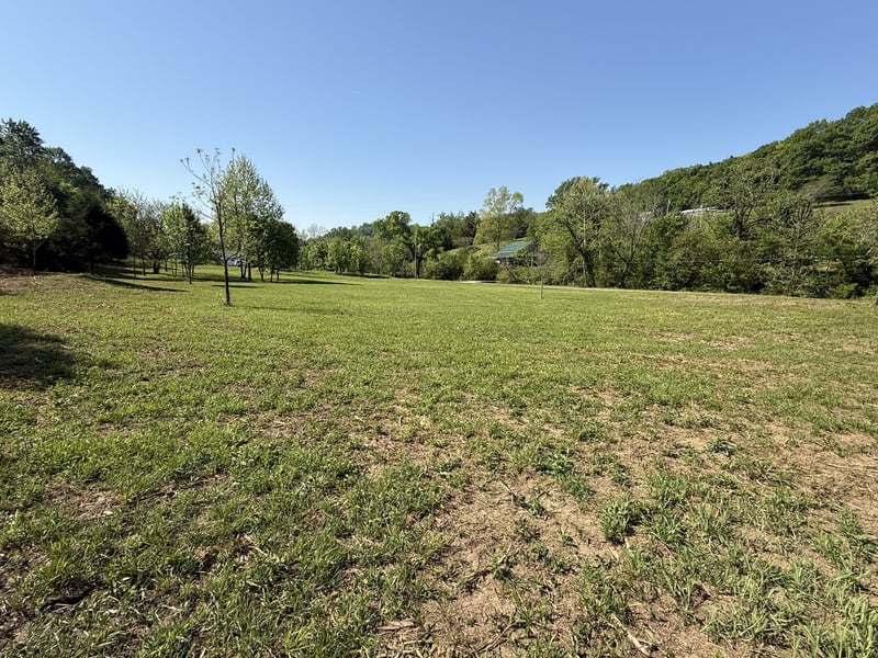 Rogues Fork Rd, Bethpage, TN 37022
