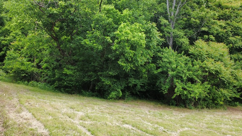 Love Branch Rd, Hampshire, TN 38461