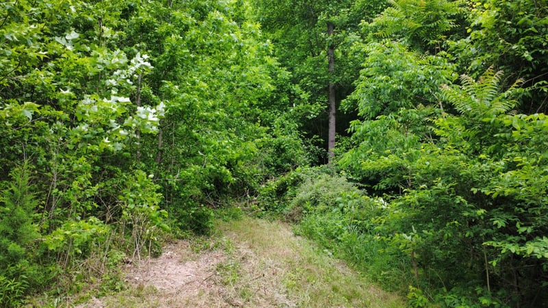 Love Branch Rd, Hampshire, TN 38461