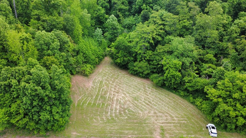 Love Branch Rd, Hampshire, TN 38461