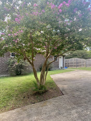 197 Hicks Rd, Nashville, TN 37221