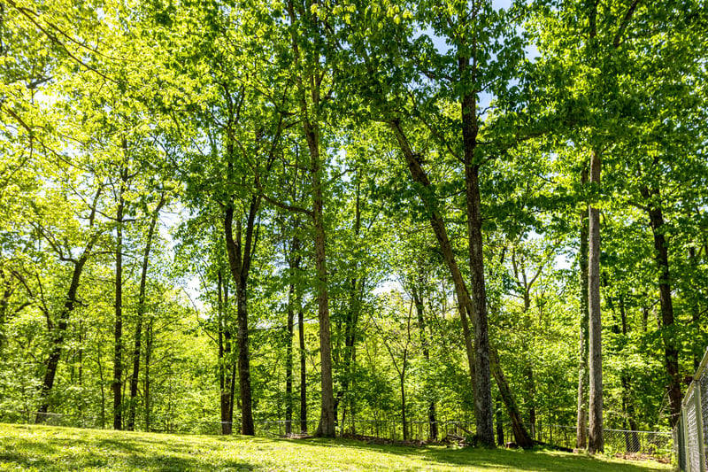 1822 Winding Way Dr, White House, TN 37188