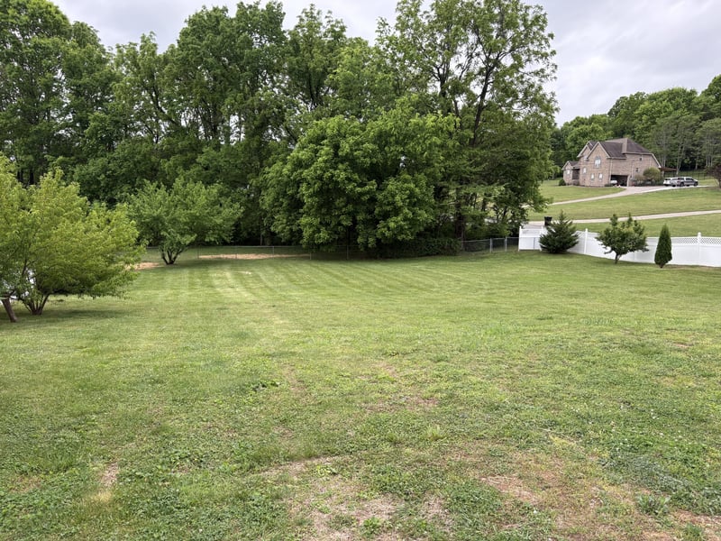 410 Alydar Dr, Watertown, TN 37184