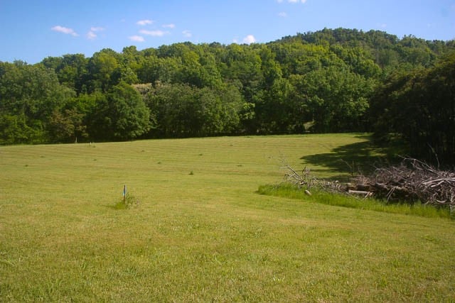 Harpeth Peytonsville Rd Lot 2, Thompsons Station, TN 37179