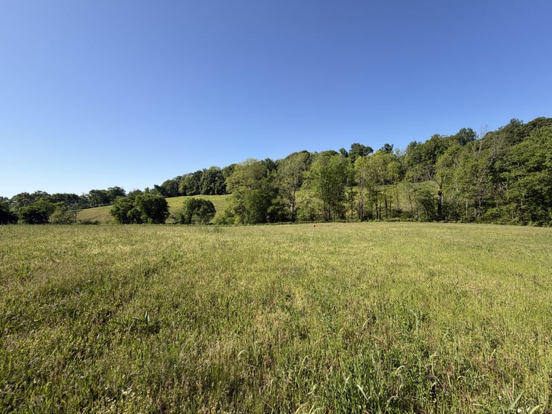 0 Steam Mill Hollow Rd Lot 1, Williamsport, TN 38487