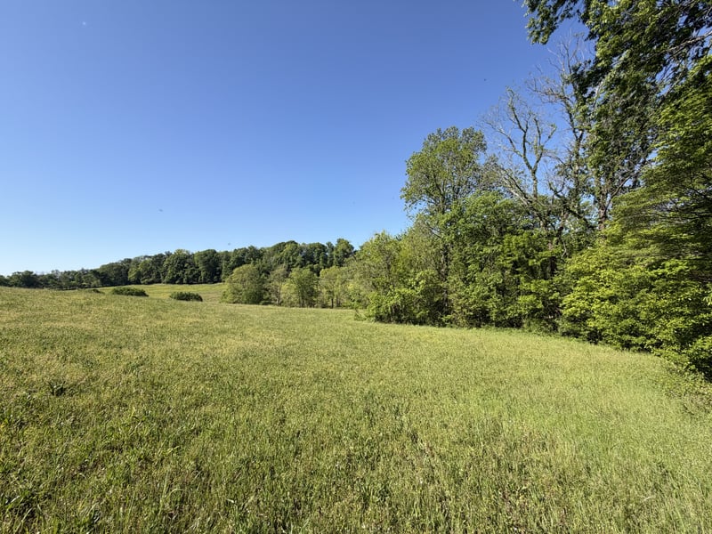 0 Steam Mill Hollow Rd Lot 1, Williamsport, TN 38487