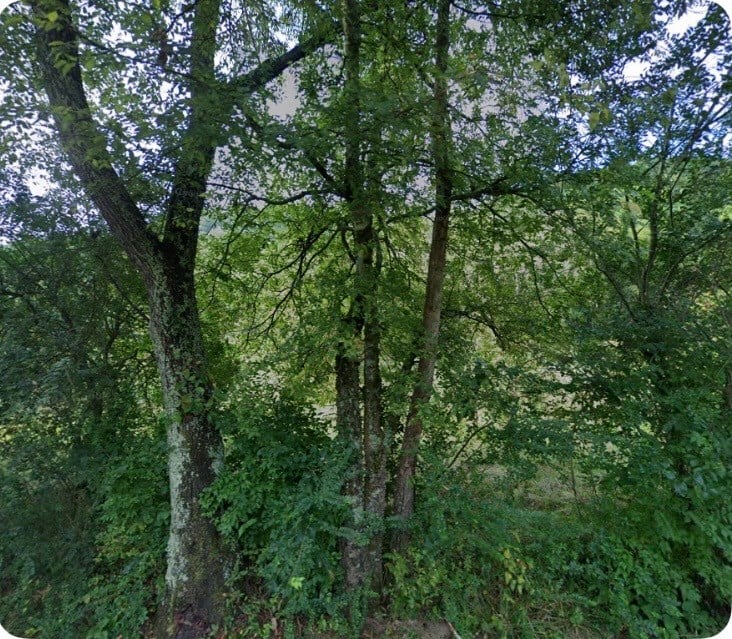 5034 Seymour Hollow Rd, Whites Creek, TN 37189