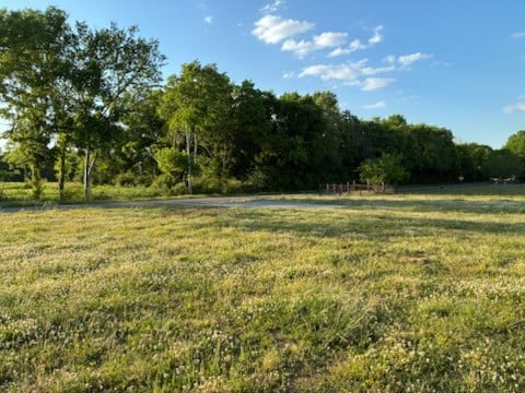 Dry Creek Rd, Mount Pleasant, TN 38474