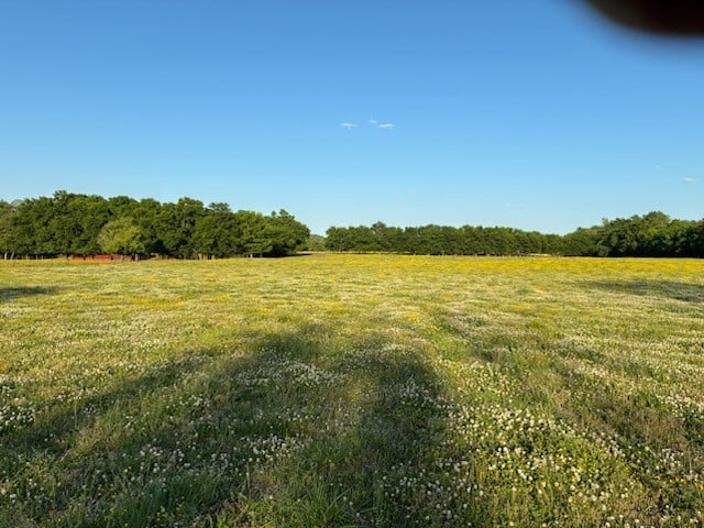 Dry Creek Rd, Mount Pleasant, TN 38474