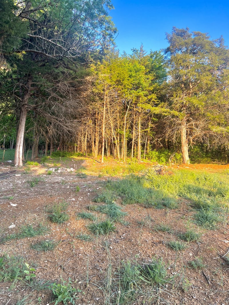 12177 Manchester Pike Lot 1, Christiana, TN 37037