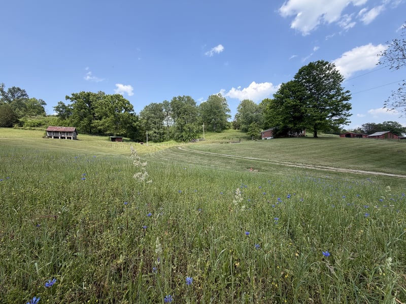 5170 Steam Mill Hollow Rd, Williamsport, TN 38487