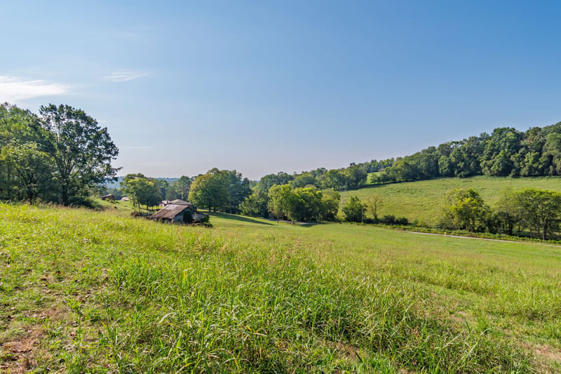 5170 Steam Mill Hollow Rd, Williamsport, TN 38487