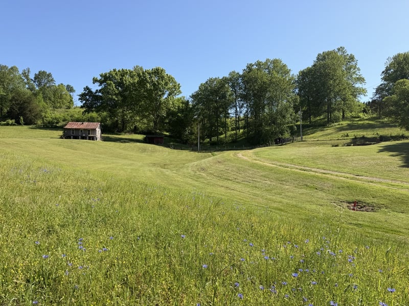 5170 Steam Mill Hollow Rd, Williamsport, TN 38487