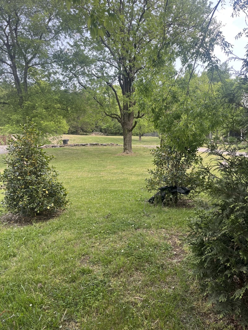 3262 Boyd Mill Ave, Franklin, TN 37064