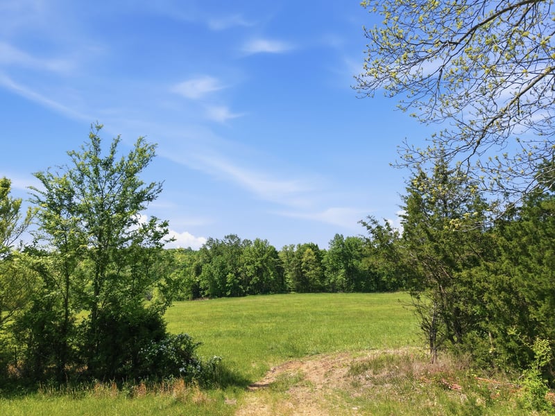 Freeman Loop, Southside, TN 37171