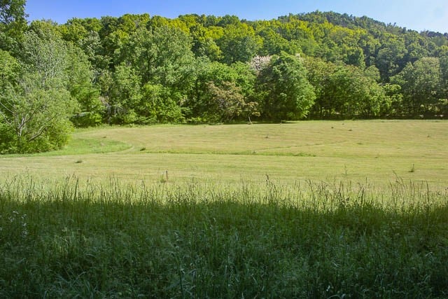 Harpeth Peytonsville Rd, Thompsons Station, TN 37179