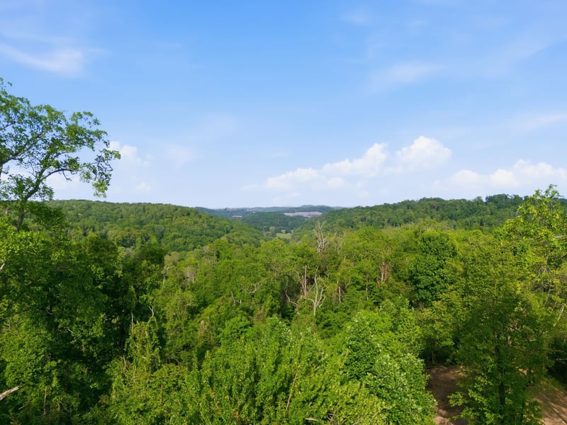 7791 Old Charlotte Pike, Nashville, TN 37209