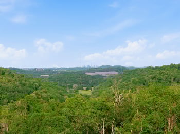 7791 Old Charlotte Pike, Nashville, TN 37209