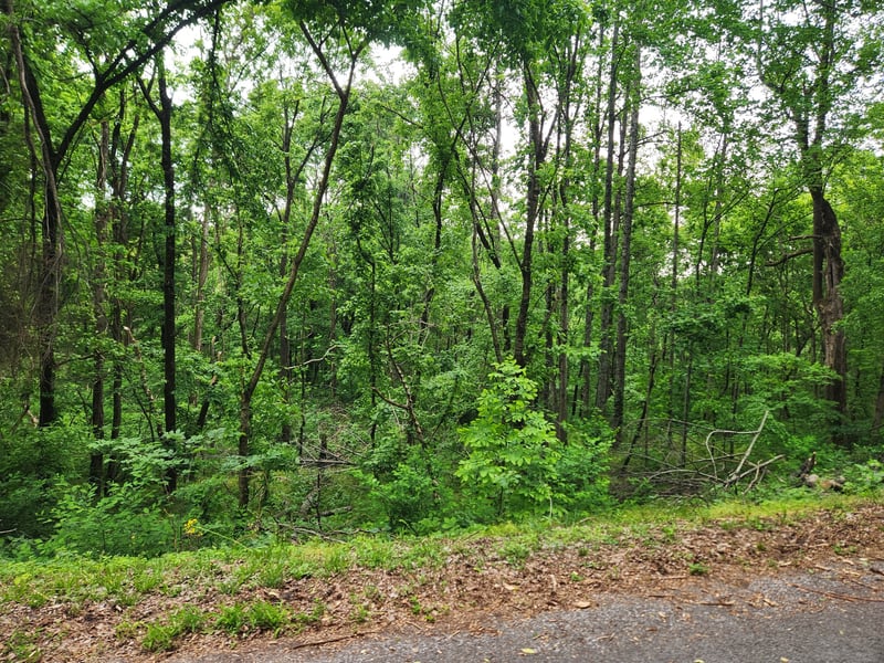 Thompson Hill Rd, Bethpage, TN 37022