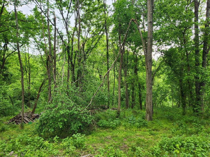 Thompson Hill Rd, Bethpage, TN 37022