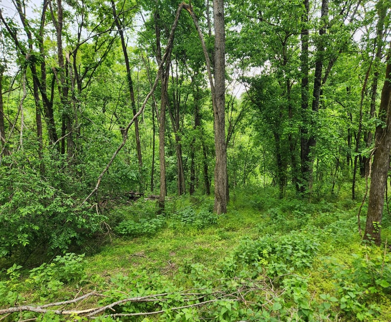 Thompson Hill Rd, Bethpage, TN 37022