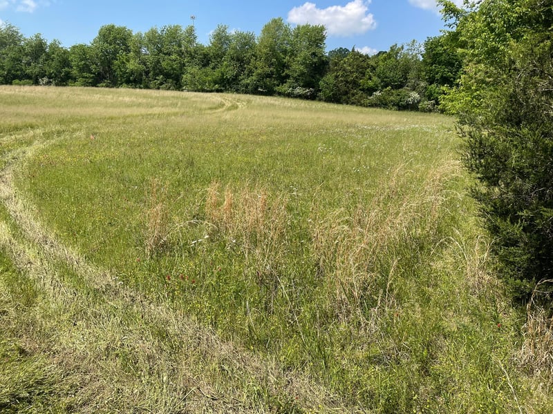 Maynard Ln, Columbia, TN 38401