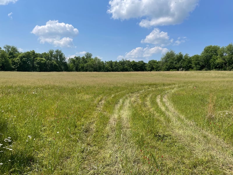 Maynard Ln, Columbia, TN 38401