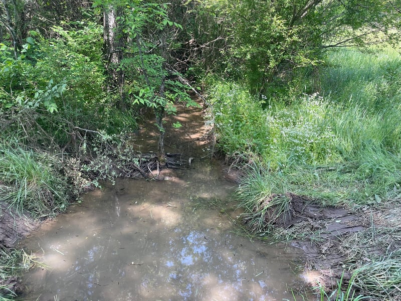 Maynard Ln, Columbia, TN 38401