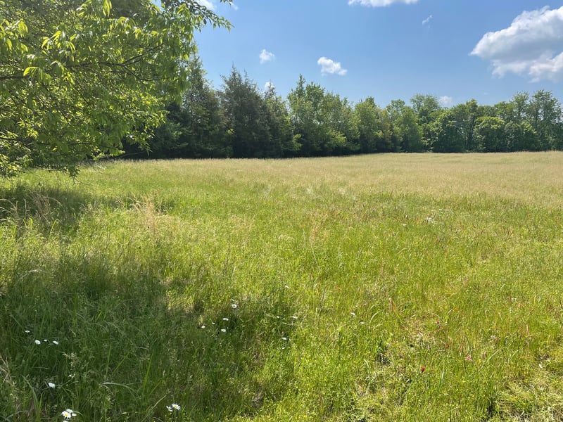 Maynard Ln, Columbia, TN 38401