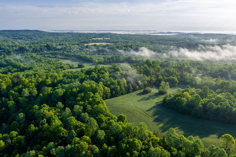 1647 Groveland Ridge Rd, Columbia, TN 38401
