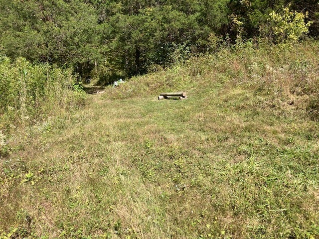 Statesville Rd, Watertown, TN 37184
