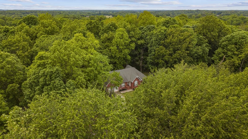 7339 Chowning Rd, Springfield, TN 37172