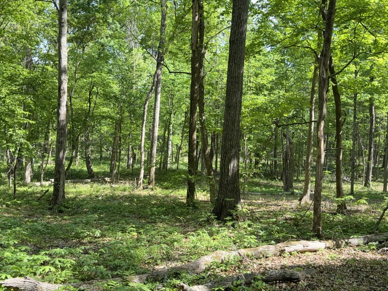 Millersburg Rd, Christiana, TN 37037