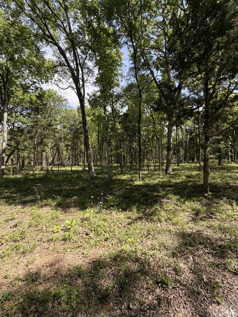 Millersburg Rd, Christiana, TN 37037