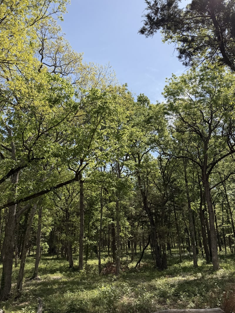 Millersburg Rd, Christiana, TN 37037
