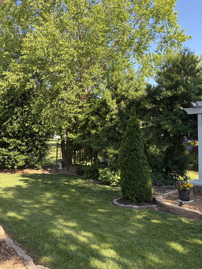 409 Savannah Rdg, Murfreesboro, TN 37127