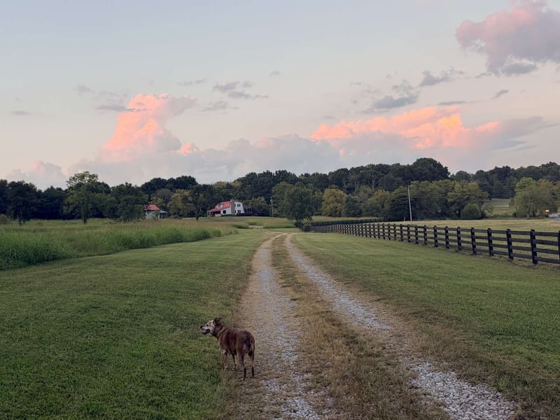 4243 Beech Log Rd, Lebanon, TN 37090