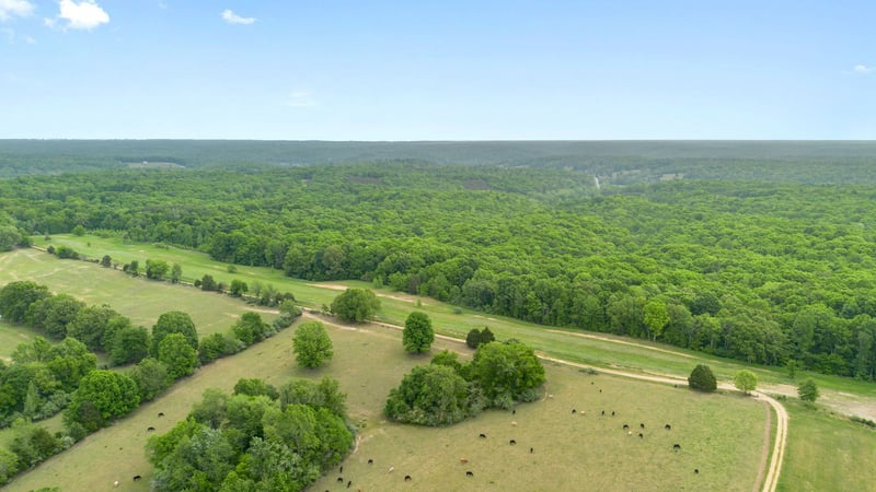 Old Number One Rd, Dickson, TN 37055