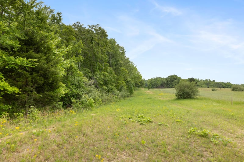 Old Number One Rd, Dickson, TN 37055