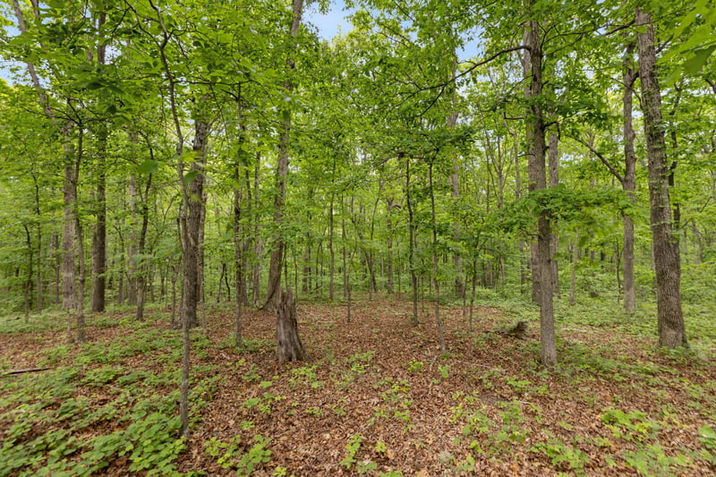 0 Old Number One Rd Lot 2, Dickson, TN 37055