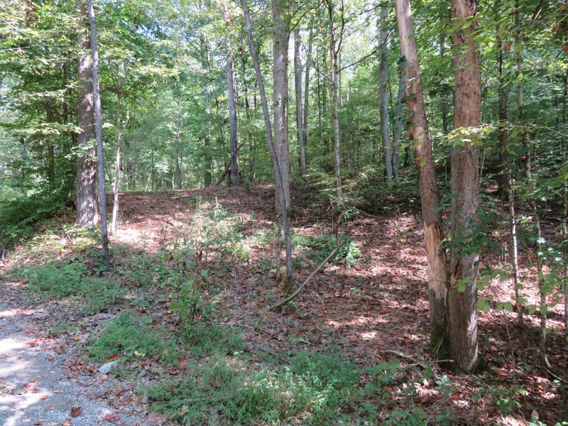 Bugg Hollow Rd, Gallatin, TN 37066