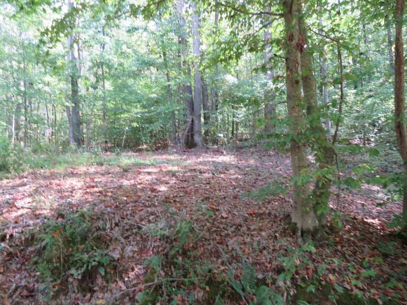 Bugg Hollow Rd, Gallatin, TN 37066