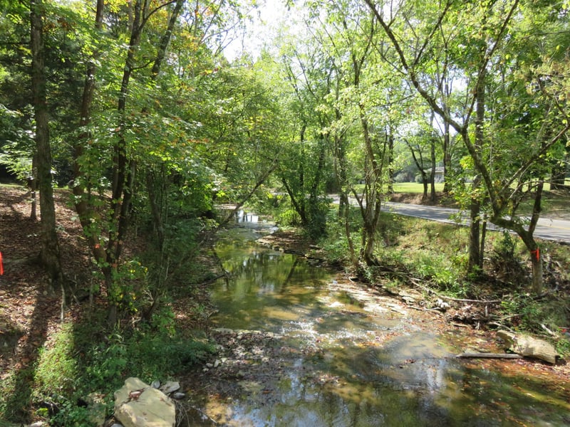 Bugg Hollow Rd, Gallatin, TN 37066