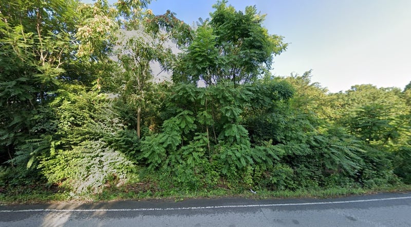 311 Hicks Rd, Nashville, TN 37221