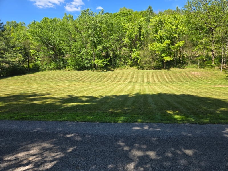Dog Branch Rd, Pleasant Shade, TN 37145