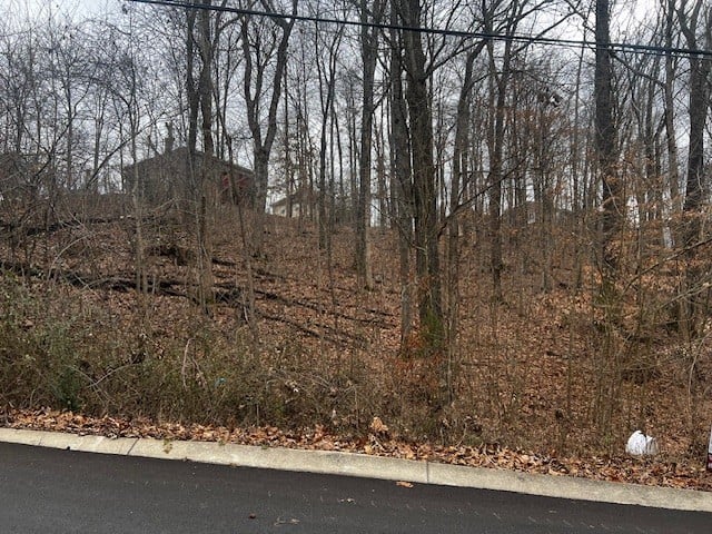 106 High Ridge Trl Lot 193, Goodlettsville, TN 37072