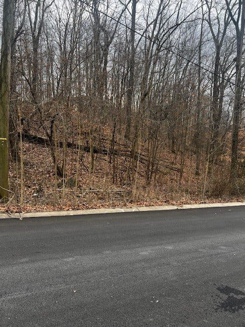 106 High Ridge Trl Lot 193, Goodlettsville, TN 37072