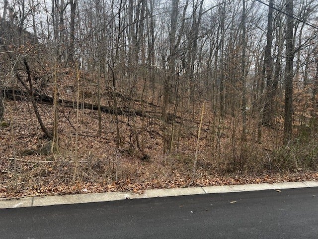 106 High Ridge Trl Lot 193, Goodlettsville, TN 37072