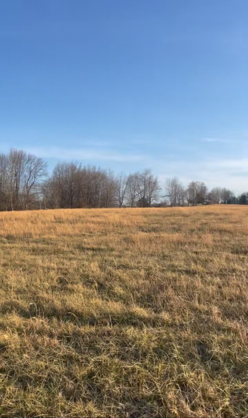 0 Thompson Ln Lot 19, Portland, TN 37148